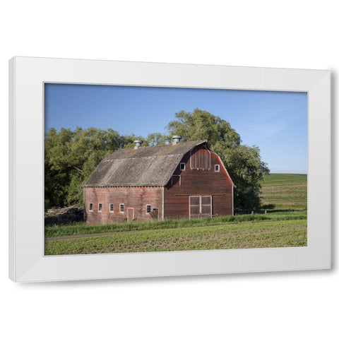 Rustic Palouse Barn I White Modern Wood Framed Art Print by Drost, David