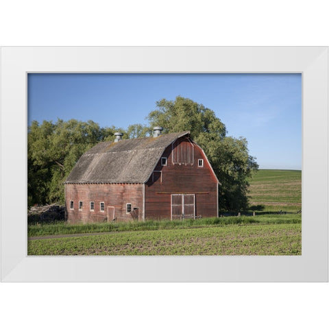 Rustic Palouse Barn I White Modern Wood Framed Art Print by Drost, David