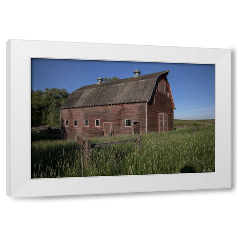 Rustic Palouse Barn II White Modern Wood Framed Art Print by Drost, David