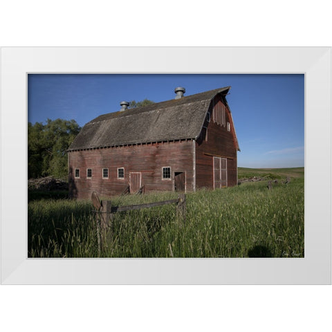 Rustic Palouse Barn II White Modern Wood Framed Art Print by Drost, David