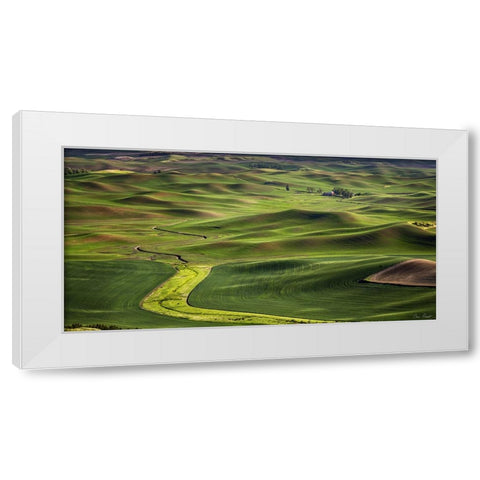 The Palouse Countryside  I White Modern Wood Framed Art Print by Drost, David