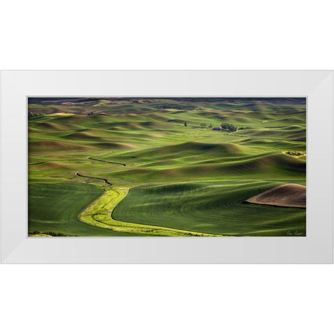 The Palouse Countryside  I White Modern Wood Framed Art Print by Drost, David