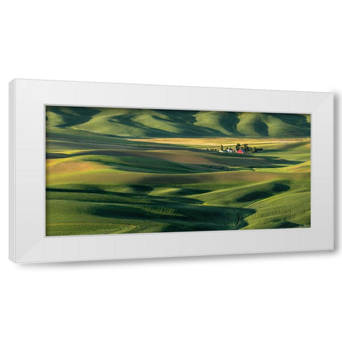 The Palouse Countryside  II White Modern Wood Framed Art Print by Drost, David
