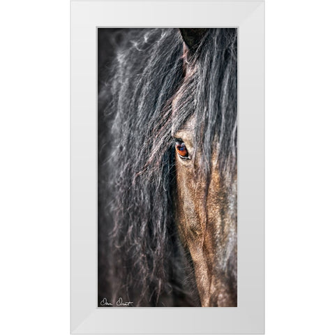 Grey Horse Mane White Modern Wood Framed Art Print by Drost, David