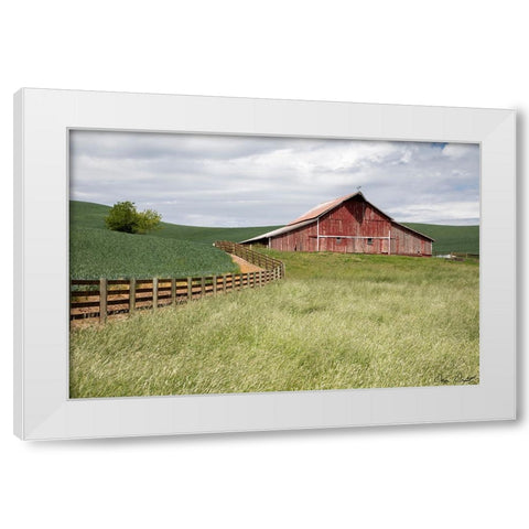 Barn by the Fence White Modern Wood Framed Art Print by Drost, David