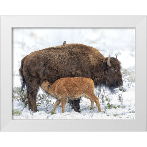 Mothers Milk White Modern Wood Framed Art Print by Drost, David