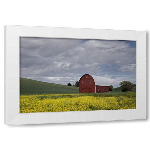 Palouse Barn and Flowers I White Modern Wood Framed Art Print by Drost, David