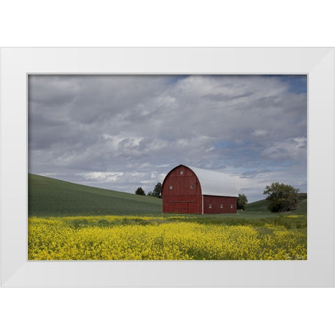 Palouse Barn and Flowers I White Modern Wood Framed Art Print by Drost, David