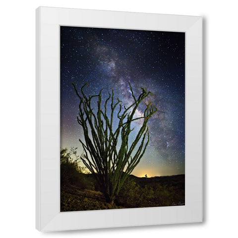 Desert Lights II White Modern Wood Framed Art Print by Drost, David