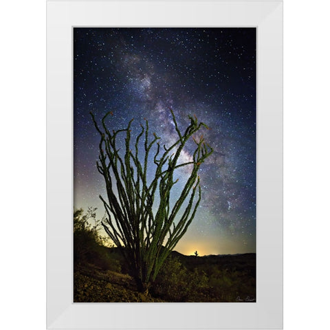 Desert Lights II White Modern Wood Framed Art Print by Drost, David