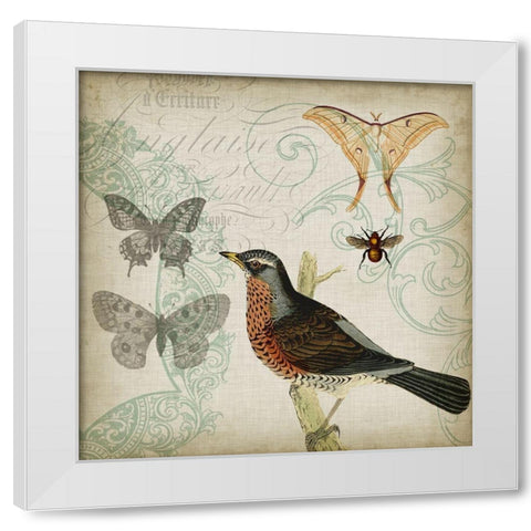 Cartouche and Wings II White Modern Wood Framed Art Print by Goldberger, Jennifer