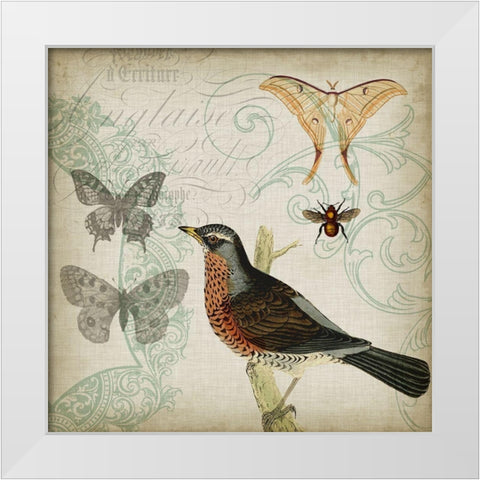 Cartouche and Wings II White Modern Wood Framed Art Print by Goldberger, Jennifer