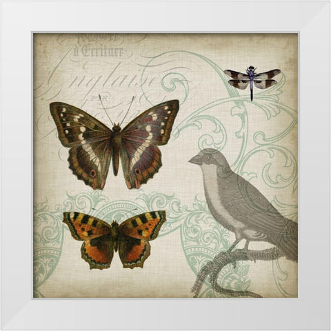 Cartouche and Wings III White Modern Wood Framed Art Print by Goldberger, Jennifer