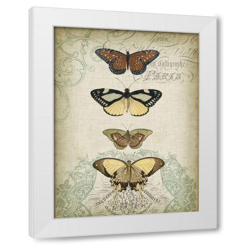 Cartouche and Butterflies I White Modern Wood Framed Art Print by Goldberger, Jennifer