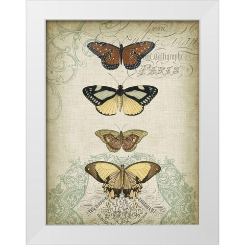 Cartouche and Butterflies I White Modern Wood Framed Art Print by Goldberger, Jennifer