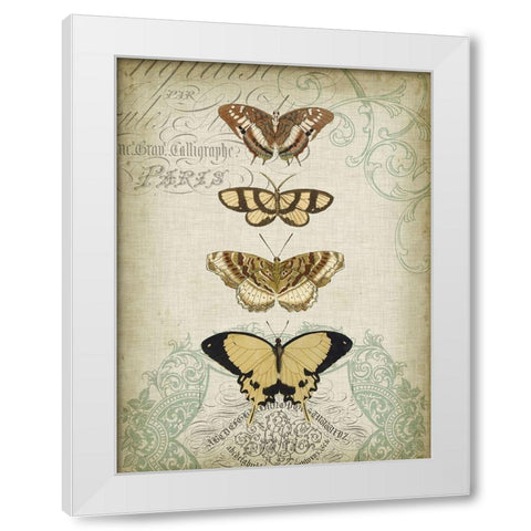 Cartouche and Butterflies II White Modern Wood Framed Art Print by Goldberger, Jennifer