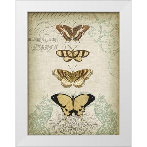 Cartouche and Butterflies II White Modern Wood Framed Art Print by Goldberger, Jennifer