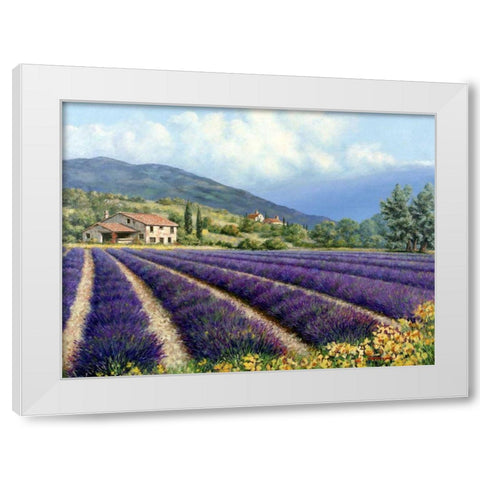 Fields Of Lavender White Modern Wood Framed Art Print by Swanson, Michael