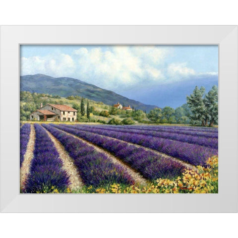 Fields Of Lavender White Modern Wood Framed Art Print by Swanson, Michael