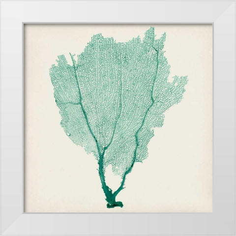 Sea Fan I White Modern Wood Framed Art Print by Vision Studio