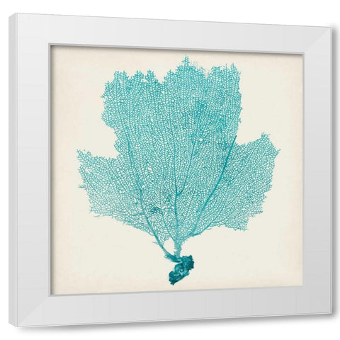 Sea Fan III White Modern Wood Framed Art Print by Vision Studio