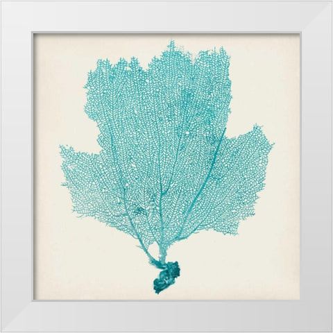 Sea Fan III White Modern Wood Framed Art Print by Vision Studio