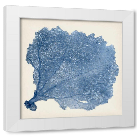 Sea Fan V White Modern Wood Framed Art Print by Vision Studio