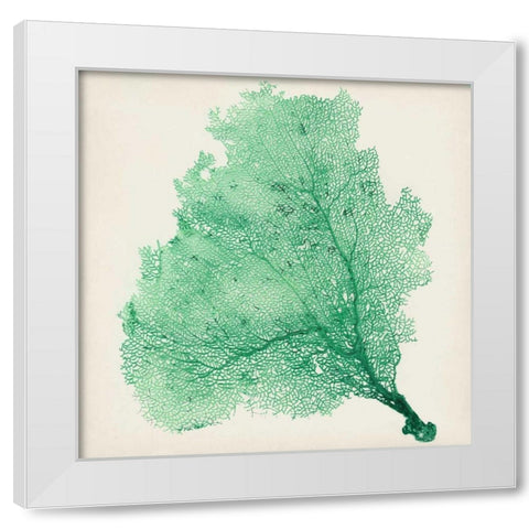 Sea Fan VII White Modern Wood Framed Art Print by Vision Studio