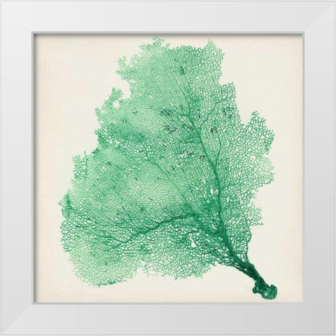 Sea Fan VII White Modern Wood Framed Art Print by Vision Studio