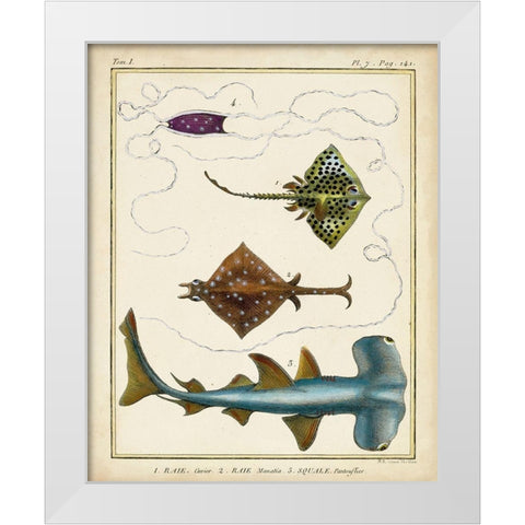 Antique Rays and Fish I White Modern Wood Framed Art Print by Chevillet