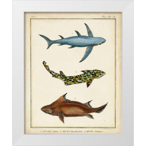 Antique Rays and Fish III White Modern Wood Framed Art Print by Chevillet
