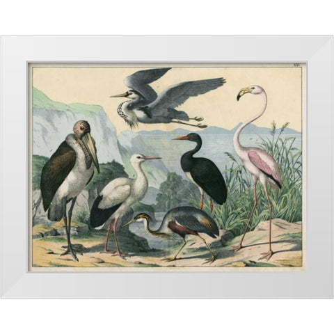 Water Guardians White Modern Wood Framed Art Print by Unknown