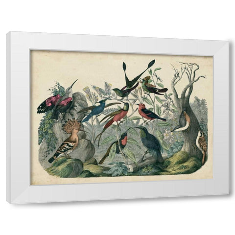 Habitat for Birds White Modern Wood Framed Art Print by Unknown