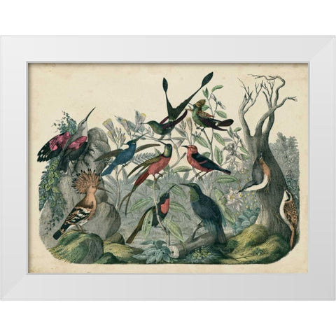 Habitat for Birds White Modern Wood Framed Art Print by Unknown