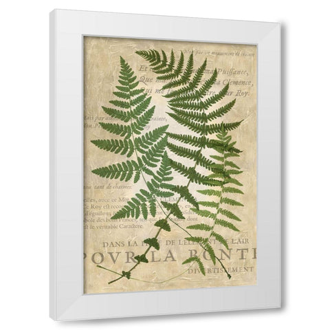 Fern Folio I White Modern Wood Framed Art Print by Vision Studio