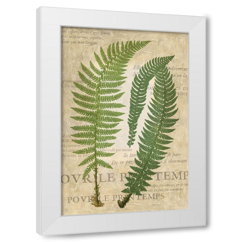 Fern Folio III White Modern Wood Framed Art Print by Vision Studio