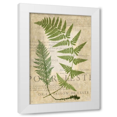 Fern Folio IV White Modern Wood Framed Art Print by Vision Studio
