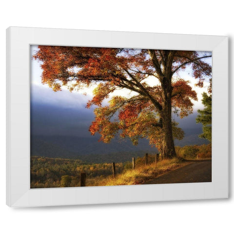 And Morning Comes White Modern Wood Framed Art Print by Head, Danny