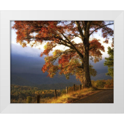 And Morning Comes White Modern Wood Framed Art Print by Head, Danny