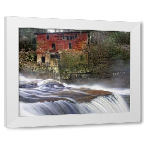 Steamy Morning White Modern Wood Framed Art Print by Head, Danny