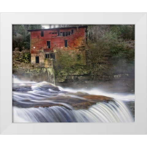 Steamy Morning White Modern Wood Framed Art Print by Head, Danny