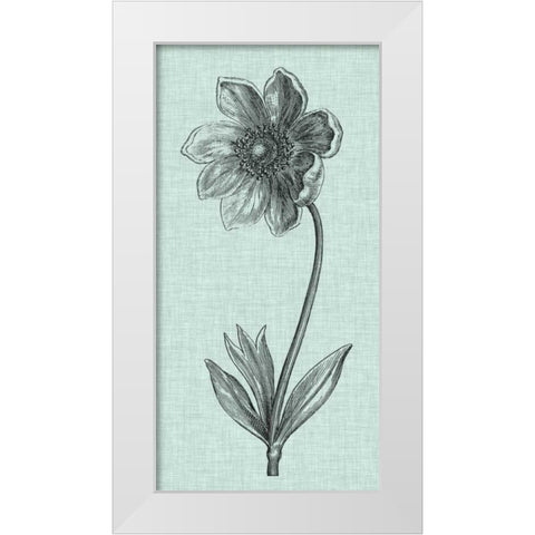Celadon Beauty II White Modern Wood Framed Art Print by Vision Studio