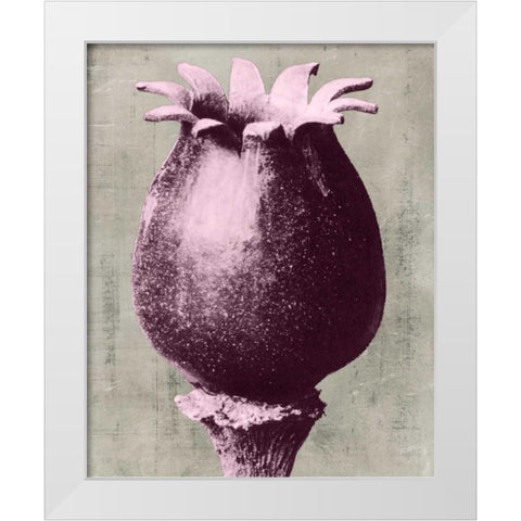 Blossfeldt Redeux I White Modern Wood Framed Art Print by Vision Studio