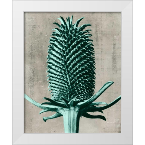 Blossfeldt Redeux V White Modern Wood Framed Art Print by Vision Studio