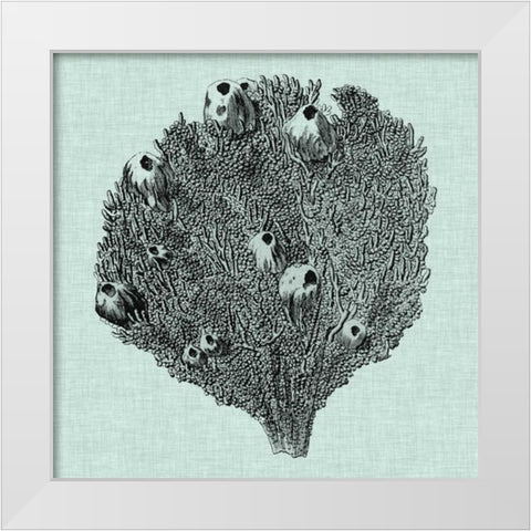 Serene Coral IV White Modern Wood Framed Art Print by Vision Studio