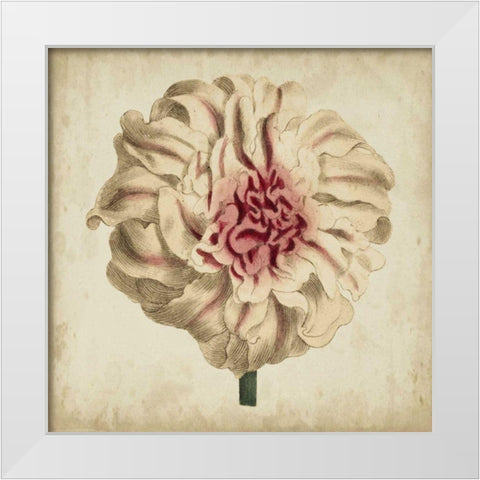 Pop Floral VII White Modern Wood Framed Art Print by Vision Studio