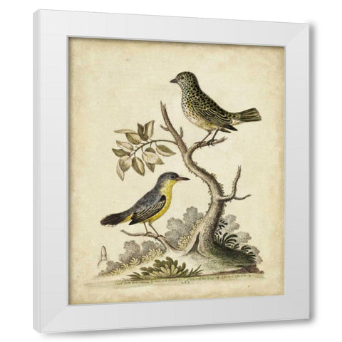 Edwards Bird Pairs VII White Modern Wood Framed Art Print by Edwards, George