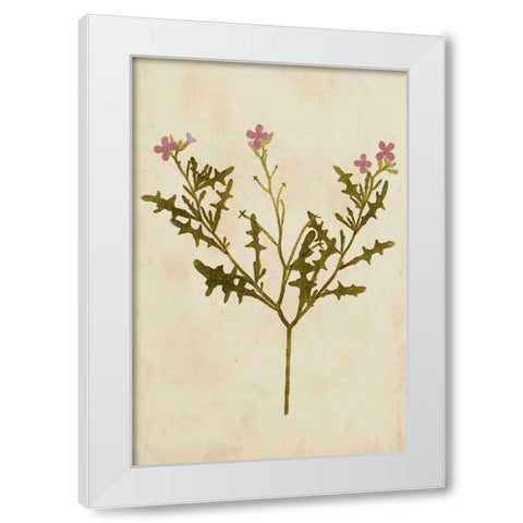 Botanical Impression IV White Modern Wood Framed Art Print by Unkown