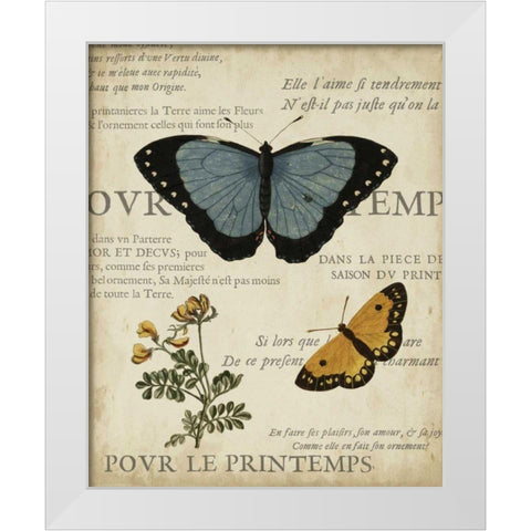 Specimen of Natural Beauty I White Modern Wood Framed Art Print by Vision Studio