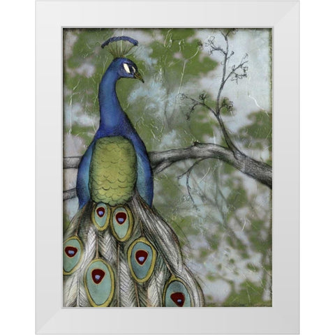 Peacock Reflections II White Modern Wood Framed Art Print by Goldberger, Jennifer